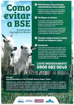 Como evitar bse